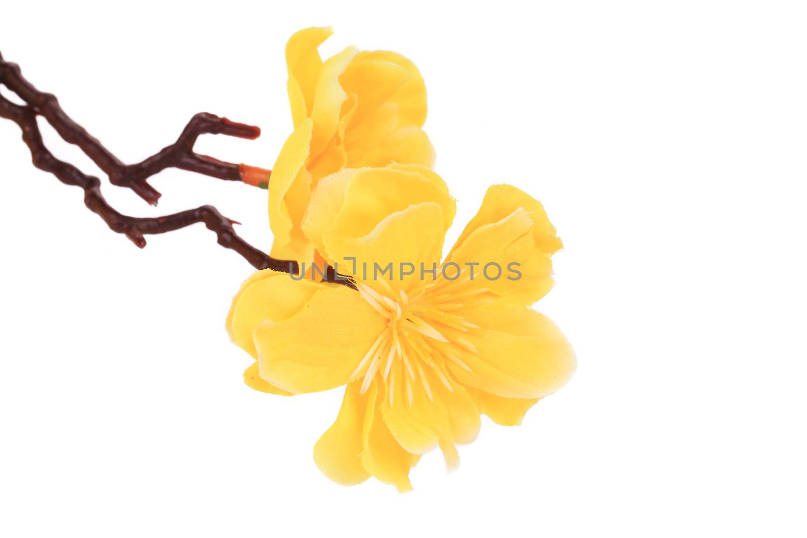Beautiful yellow artificial flowers. Isolated on a white background.