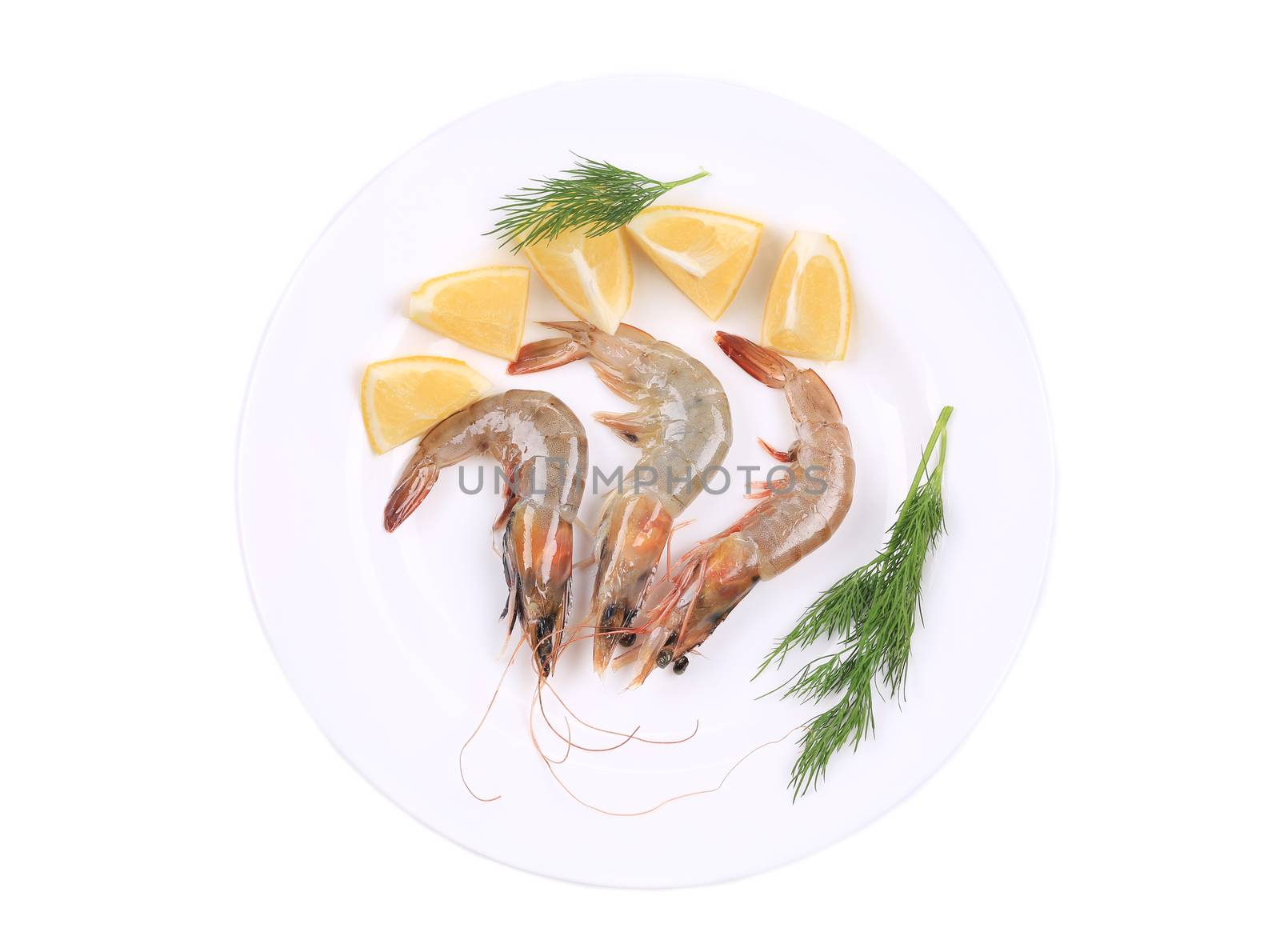 Fresh shrimps with lemon and dill. Isolated on a white background.