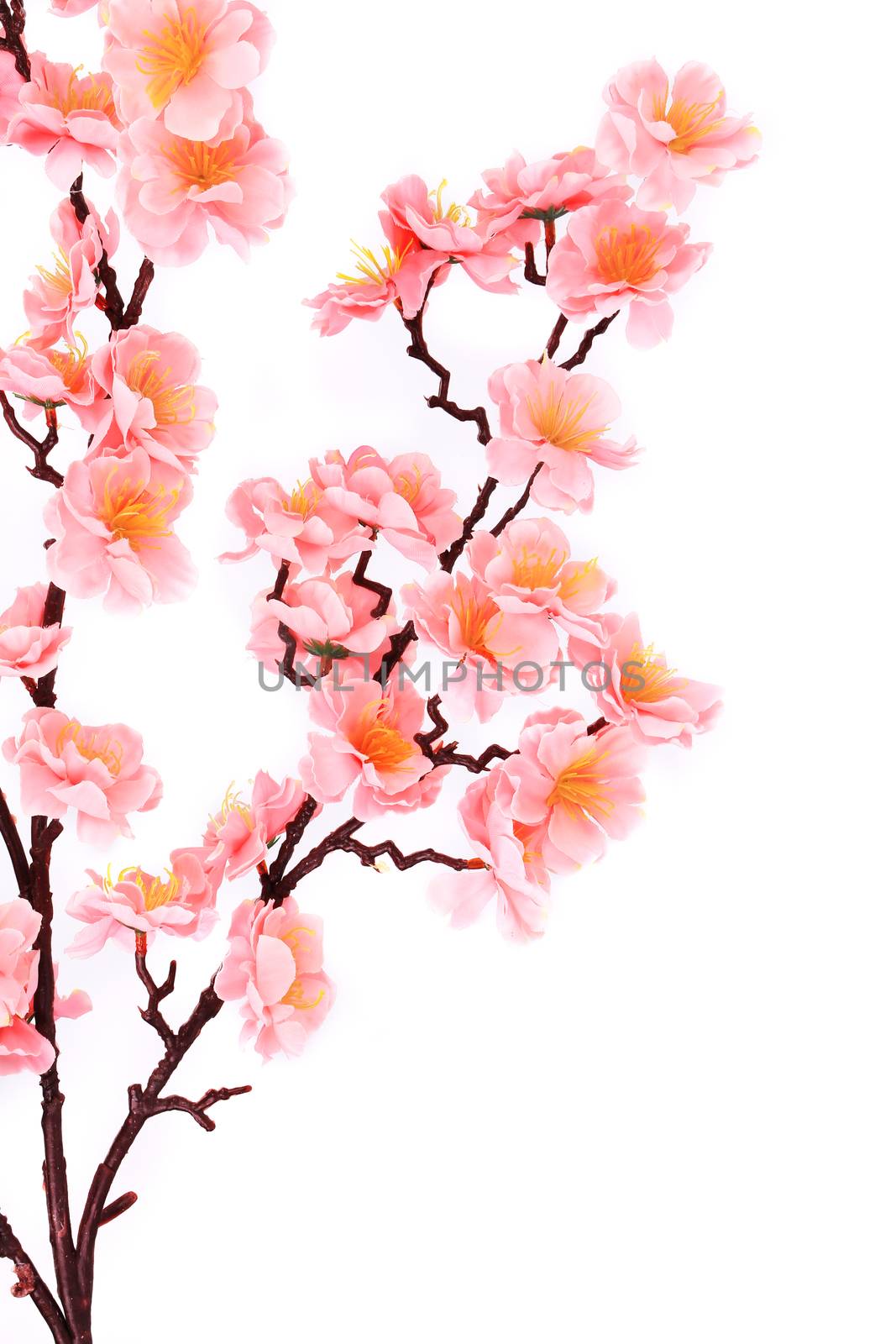 Branch of gentle pink artificial flowers. Isolated on a white background.