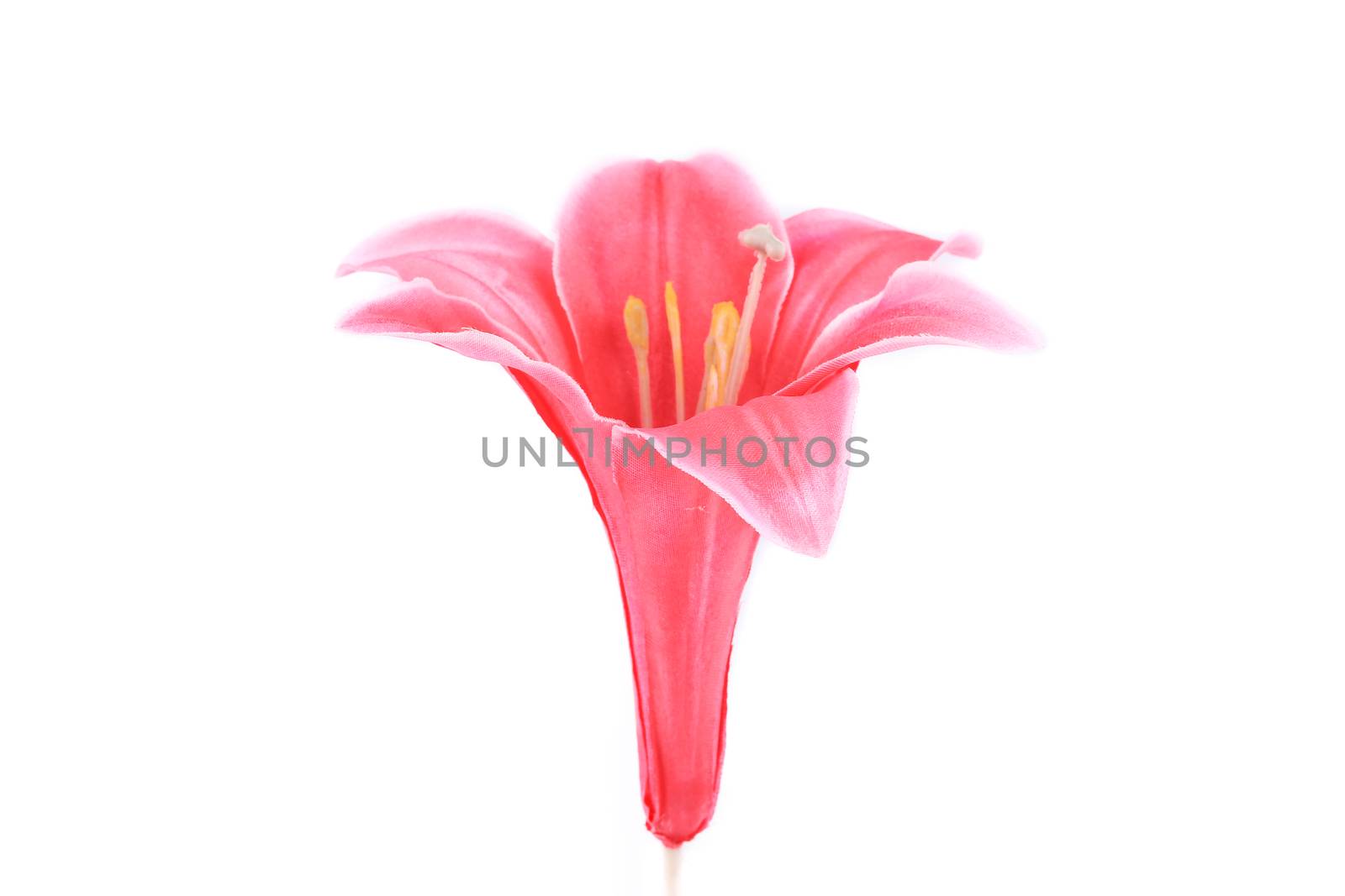 Beautiful pink artificial flower. by indigolotos