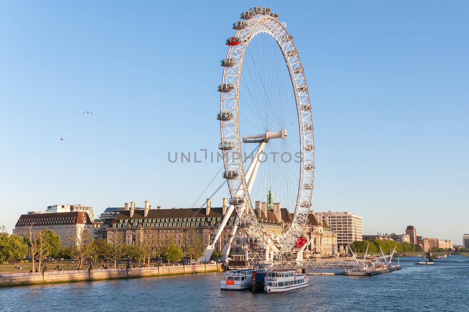 London Eye in afternoon sun by mkos83