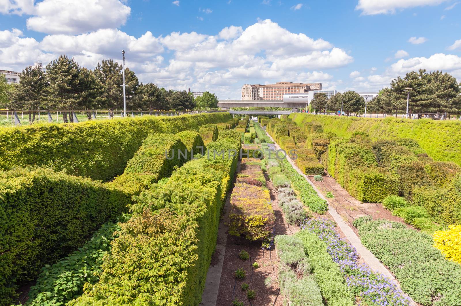 Waves of hedges in Thames Barrier Park, London