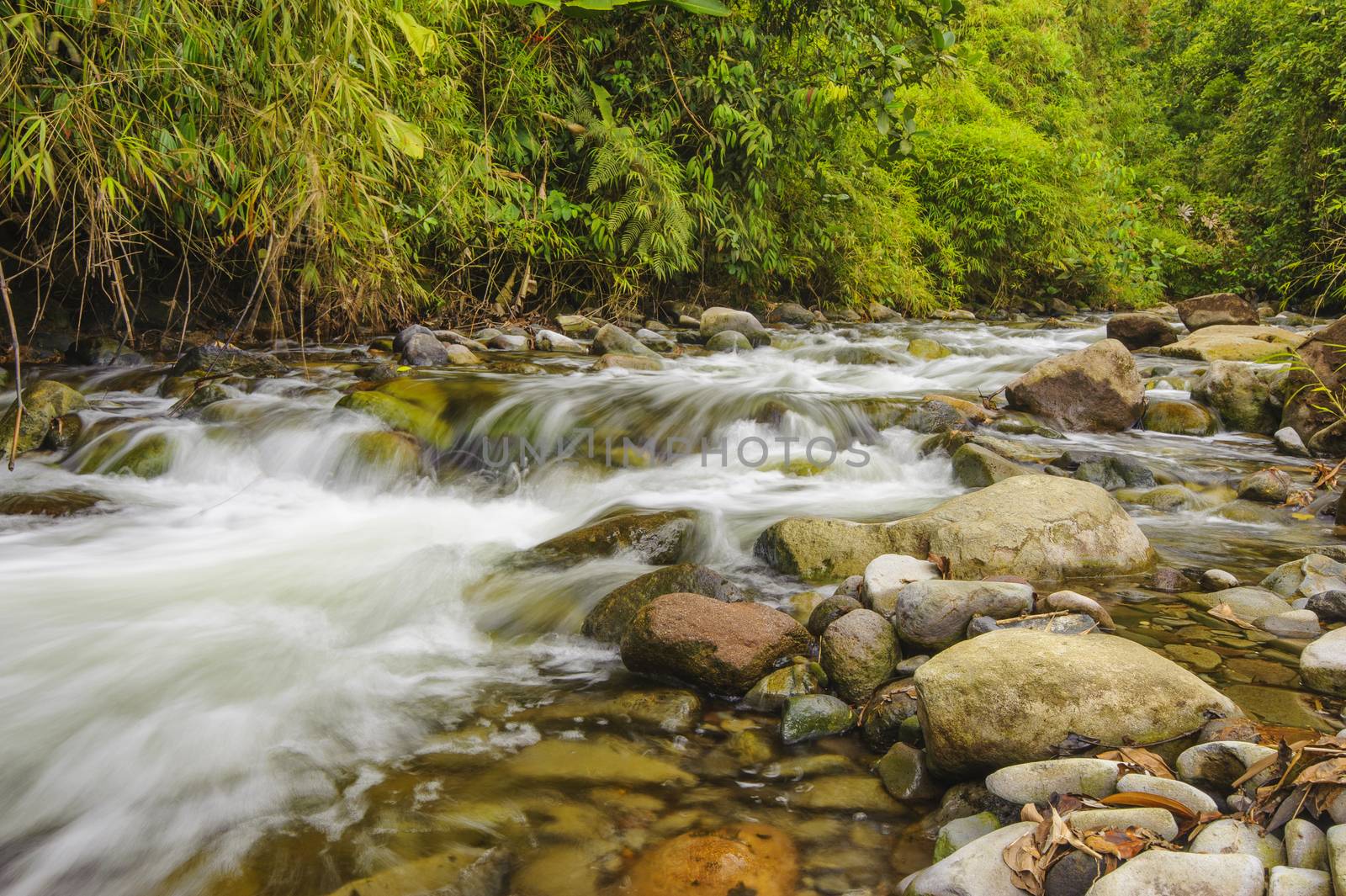 Fast flowing mountain stream near Bajos Del Toro Costa Rica.