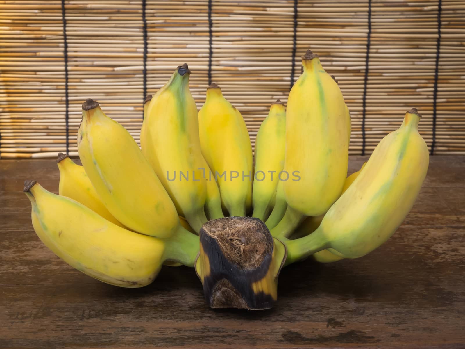 close up on cultivated banana