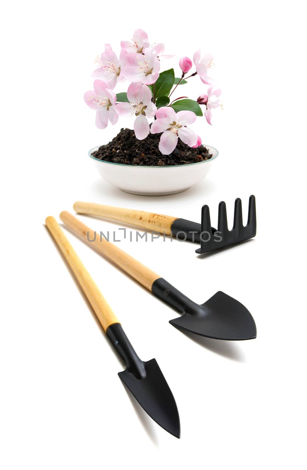 Peach blossom and garden tools by myyaym