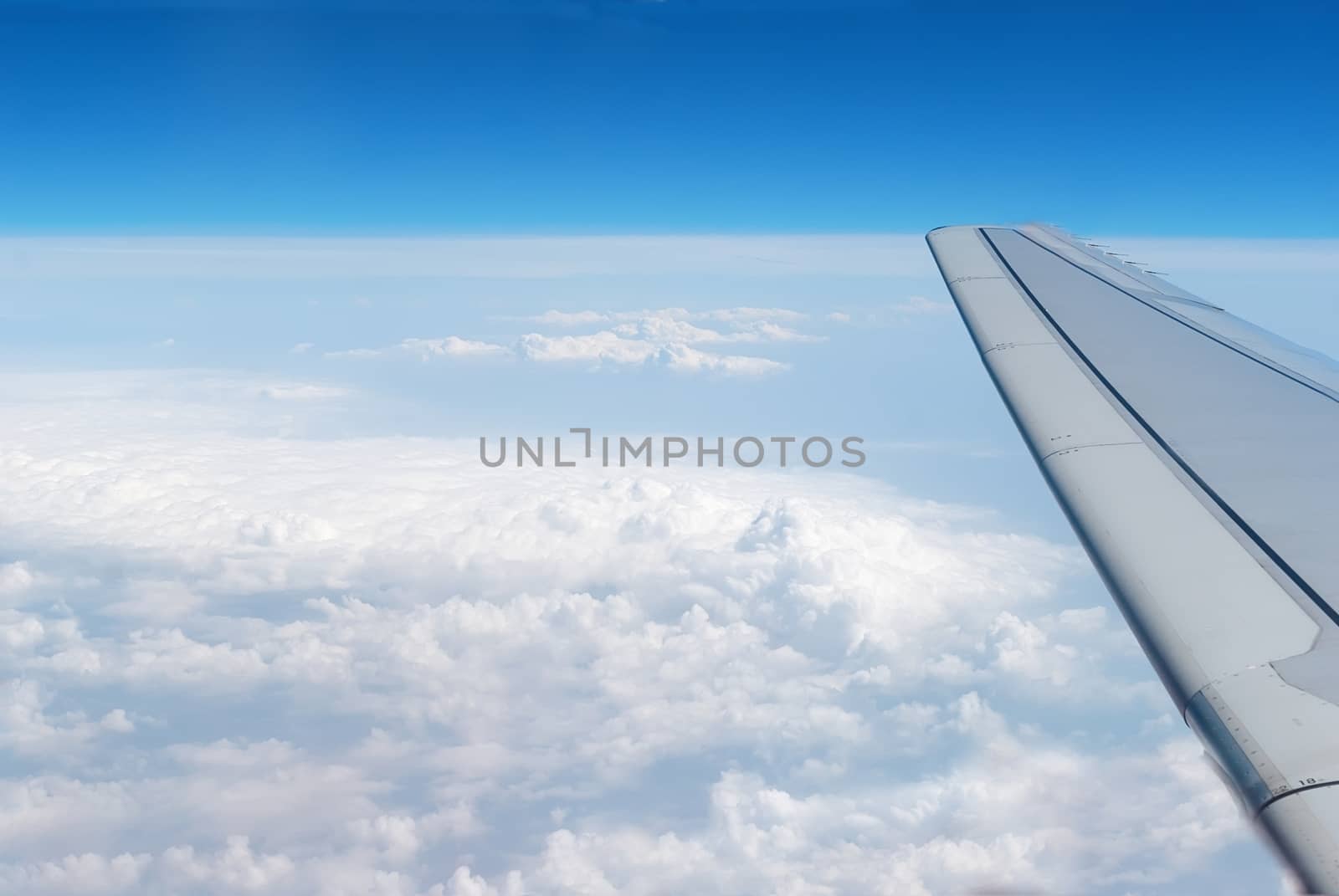 airplane wings in the blue clouds