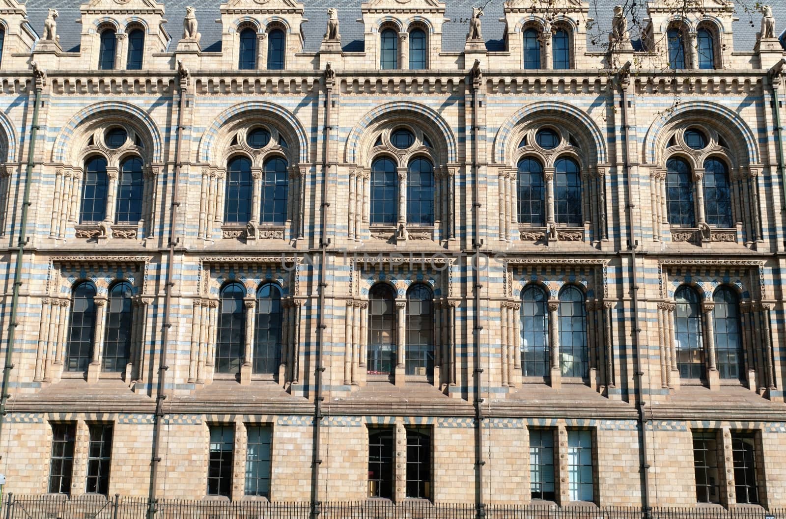 Natural History Museum, South Kensington London by mitakag