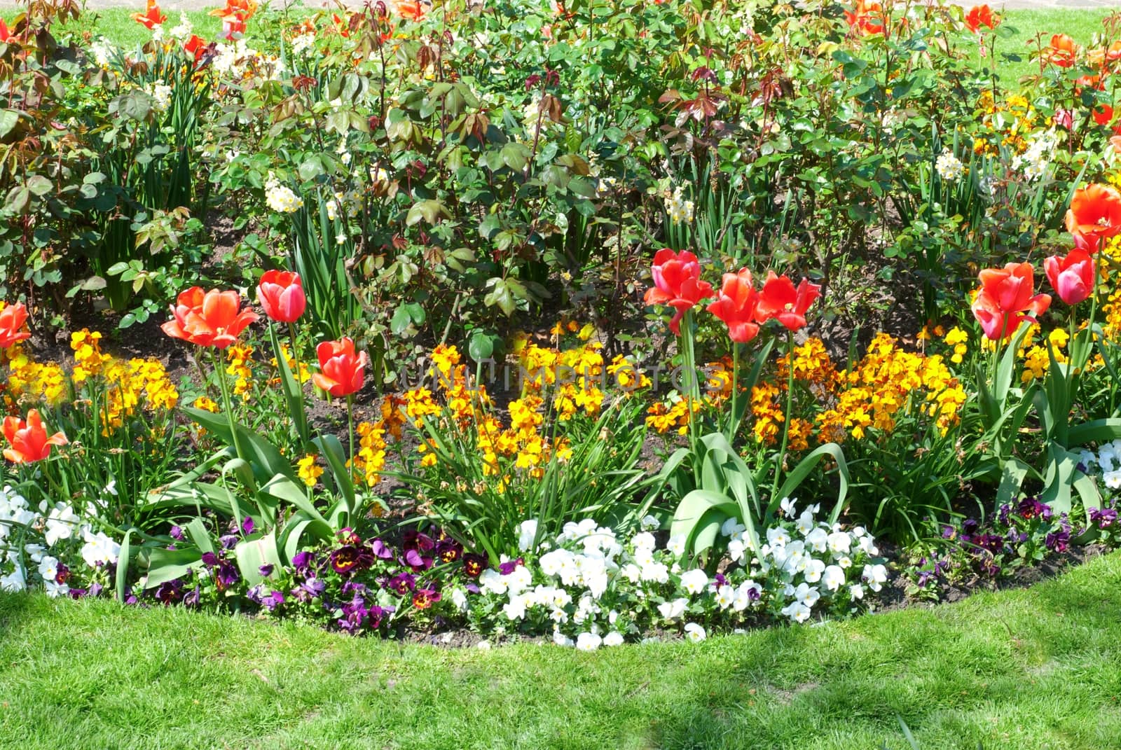 flower garden background