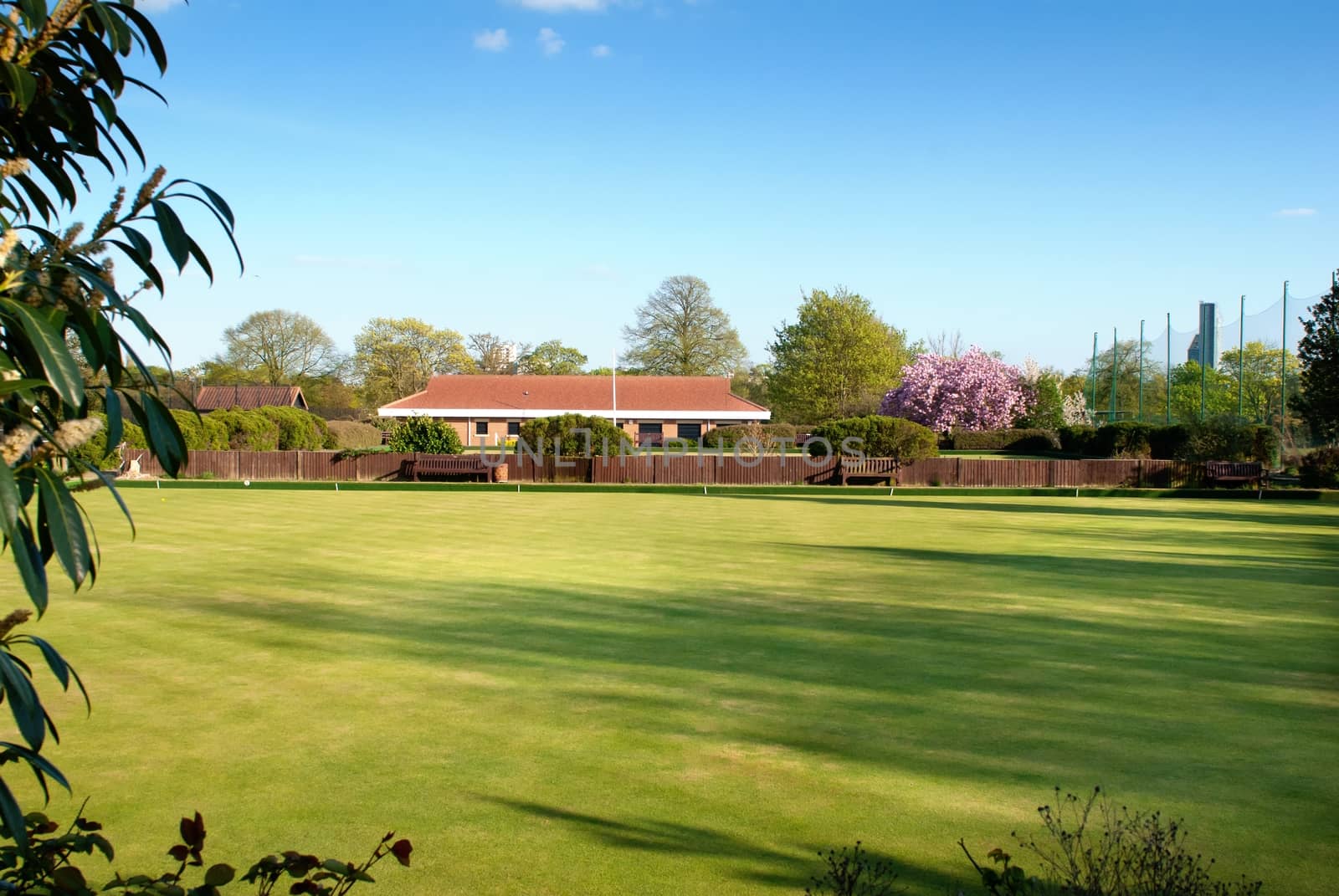 grass field yard to house