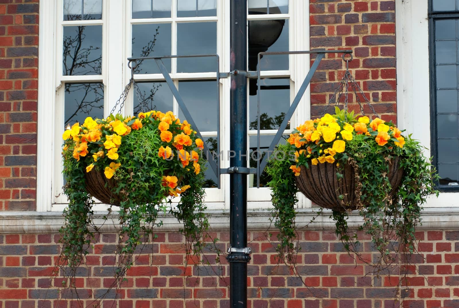 Flowers on basket