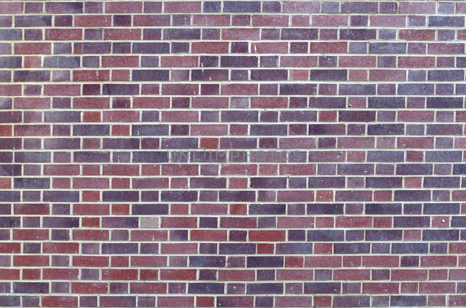 bricks wall