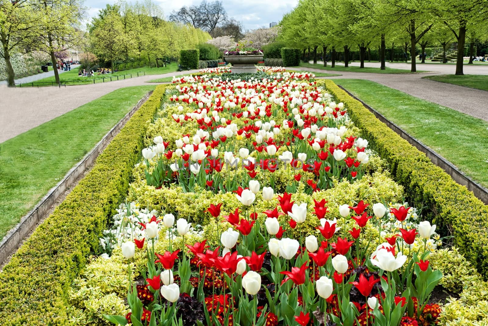 Flower alley in the park by mitakag