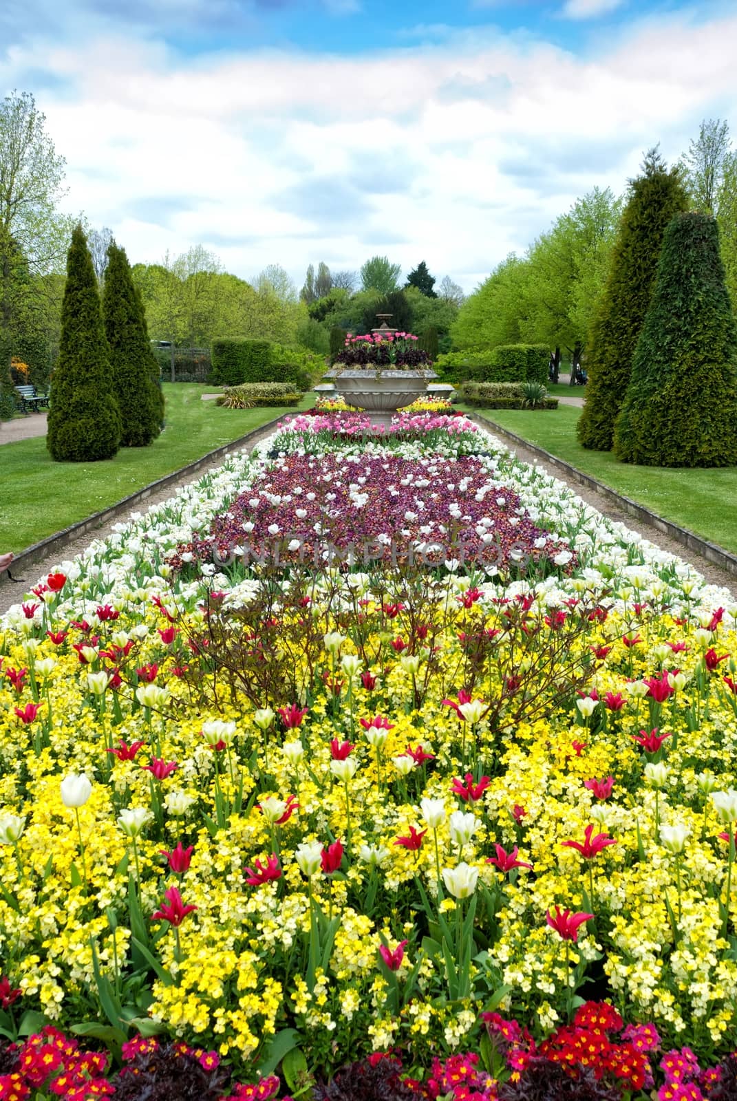 Spring flower alley in the park