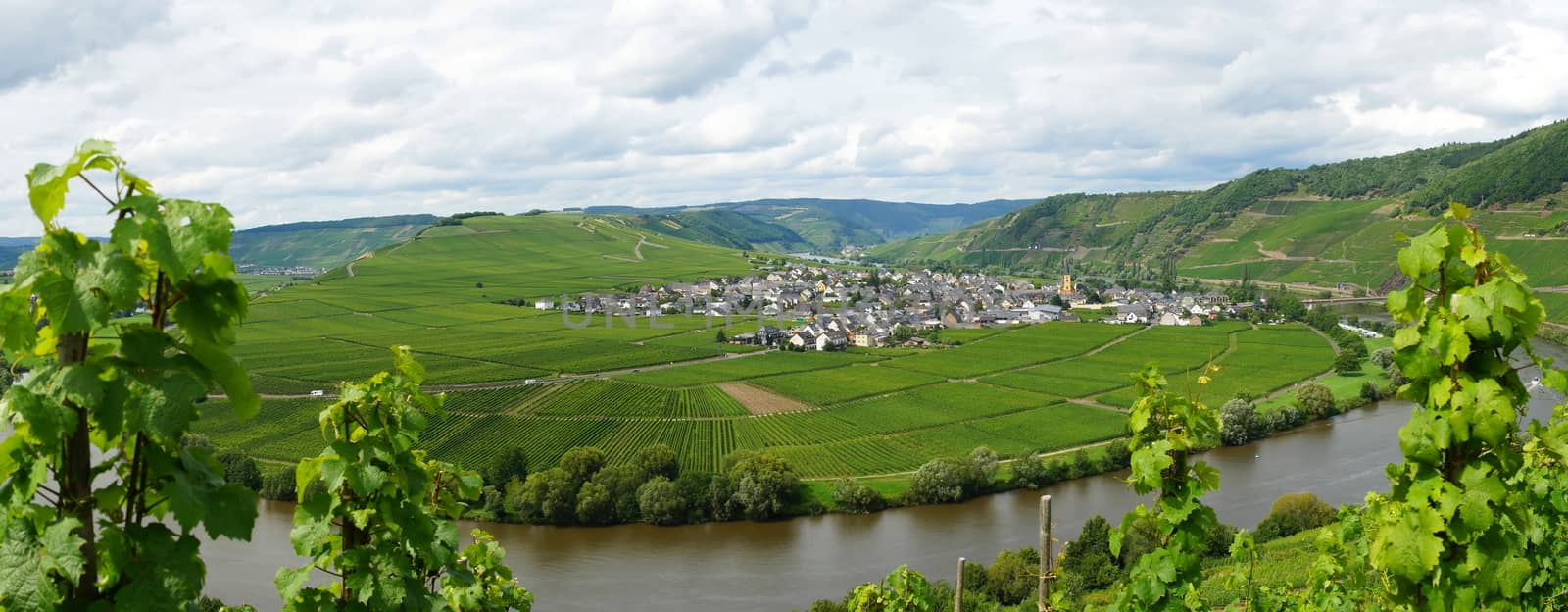 Trittenheim on the Moselle panorama