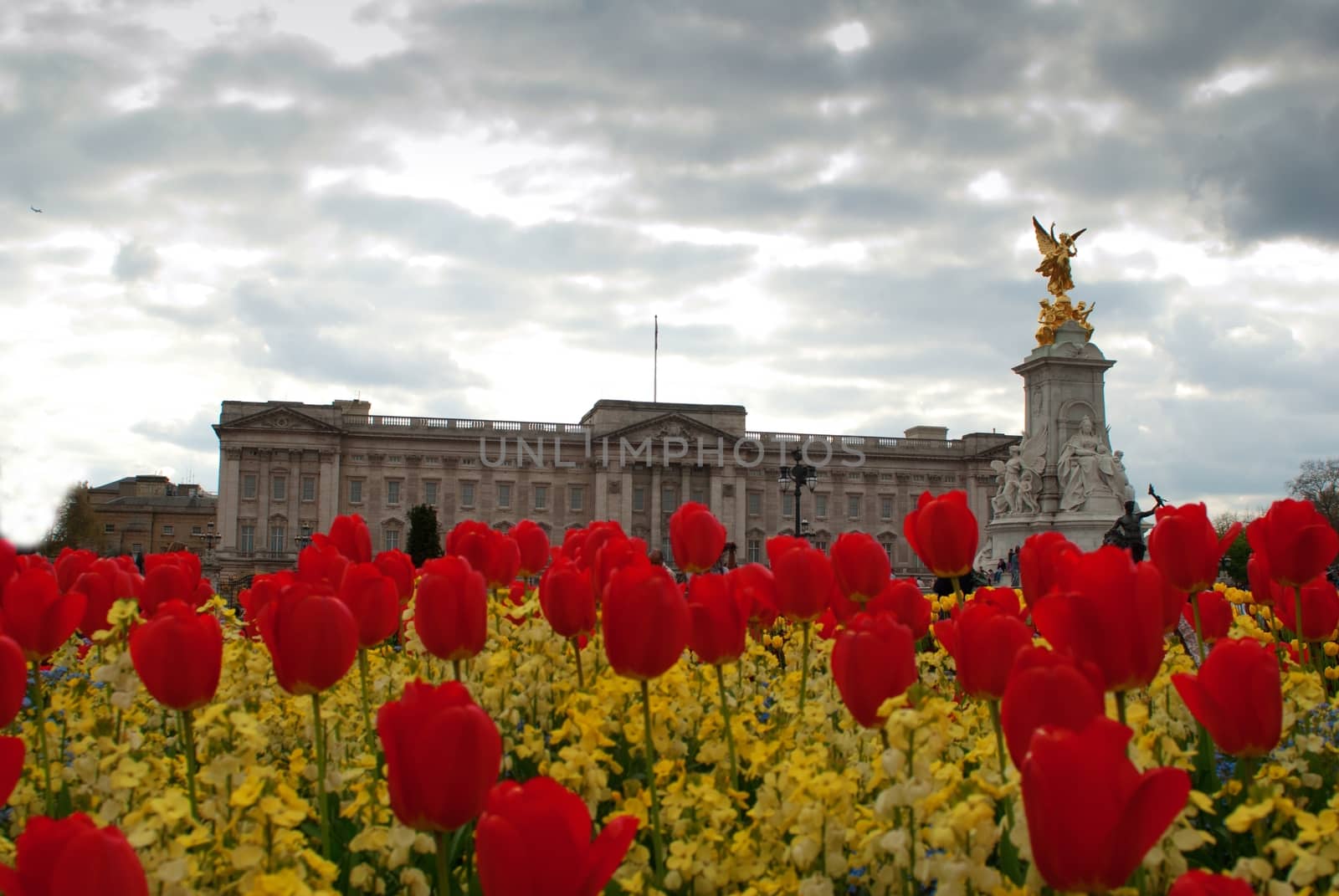 Buckingham Palace With Flowers Blooming In The Queen's Garden, London, England by mitakag