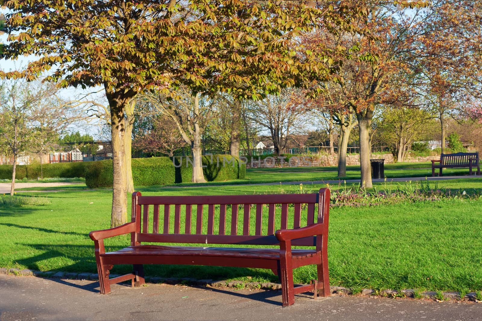 wooden park bench at a park