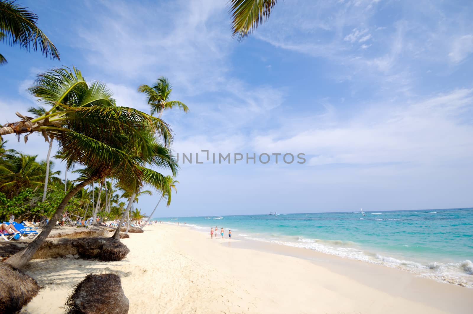 Caribbean beach with palm and white sand with the coast in the background