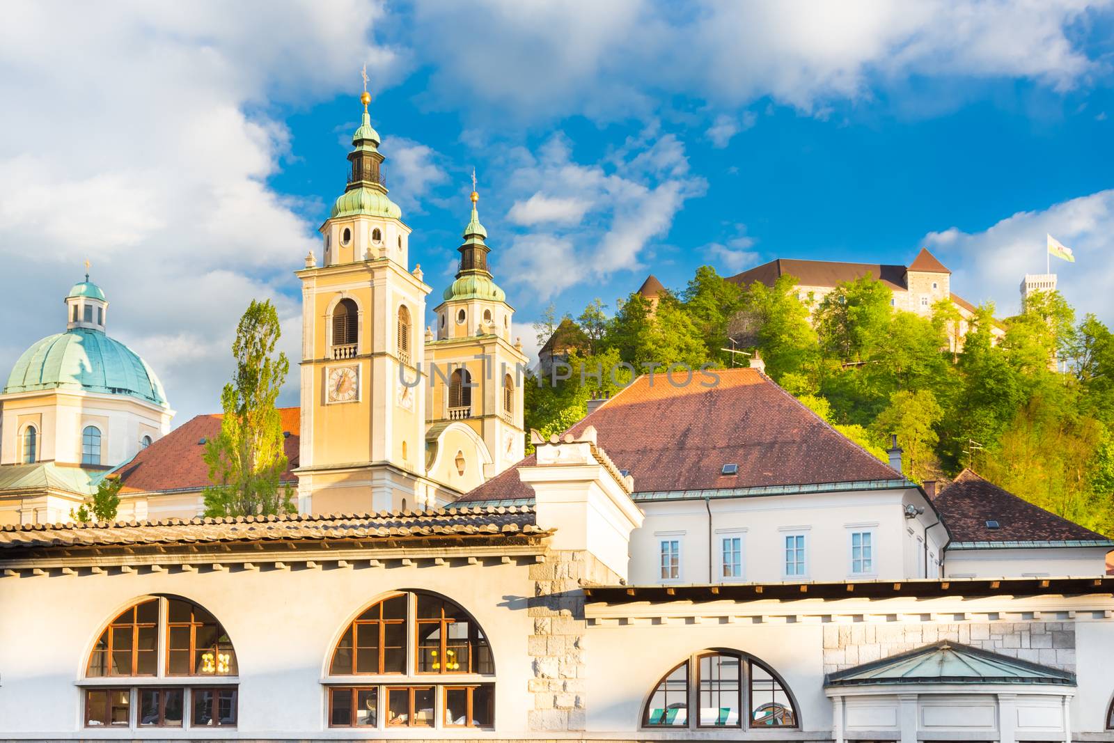 Panorama of Ljubljana, Slovenia, Europe. by kasto