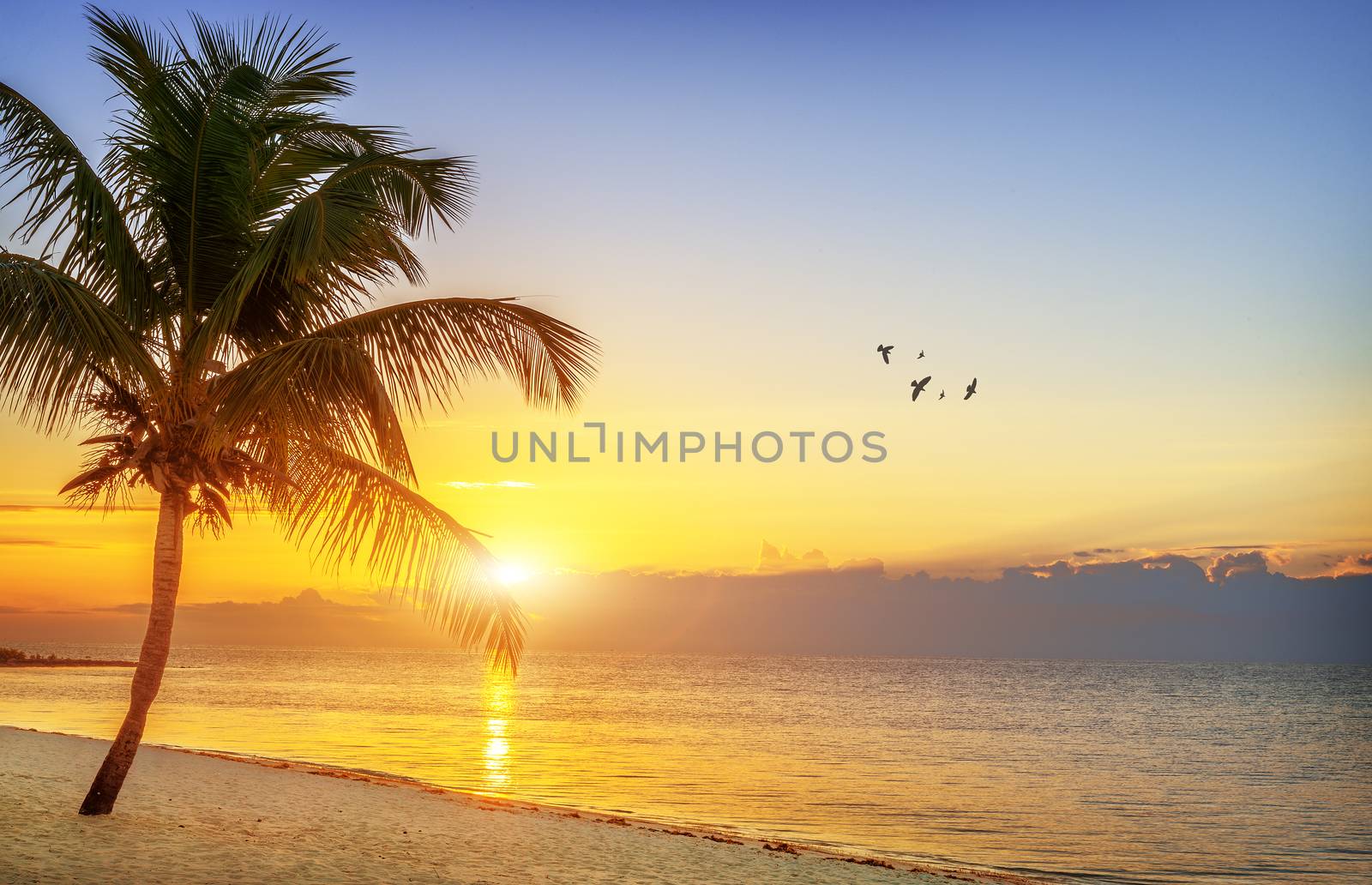 Sunset on the beach by ventdusud