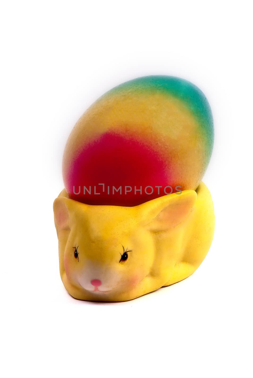 colorful egg in a yellow bunny on a white background