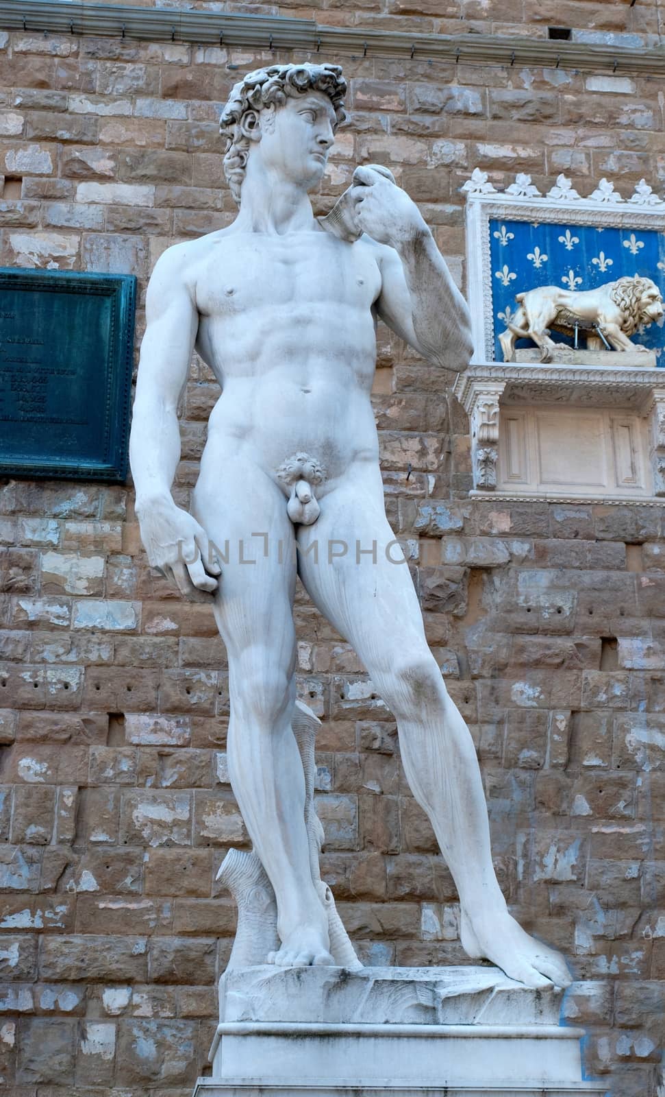 David Michelangelo