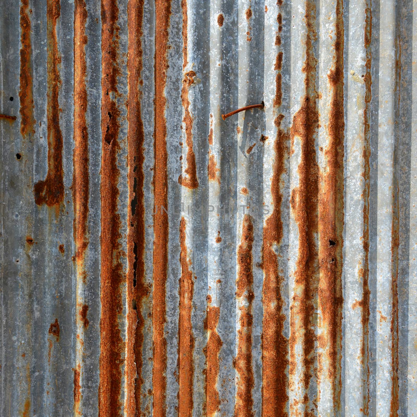 Old Texture and rusty zinc fence background 