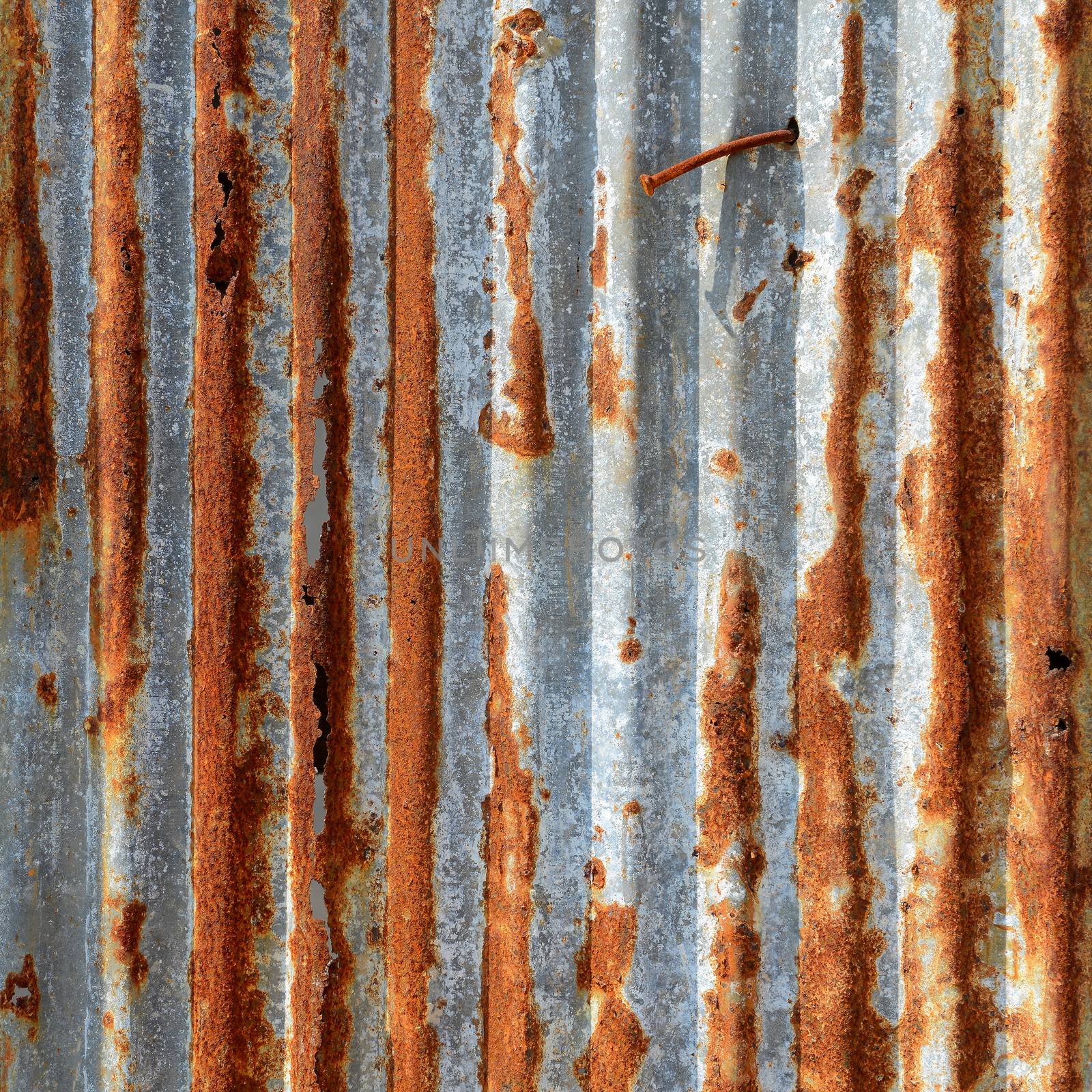 Old Texture and rusty zinc  by opasstudio