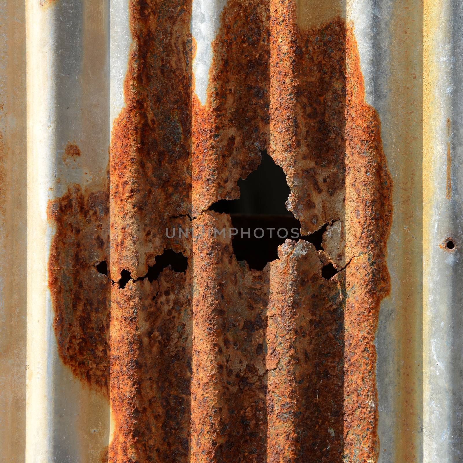 Old Texture and rusty zinc  by opasstudio