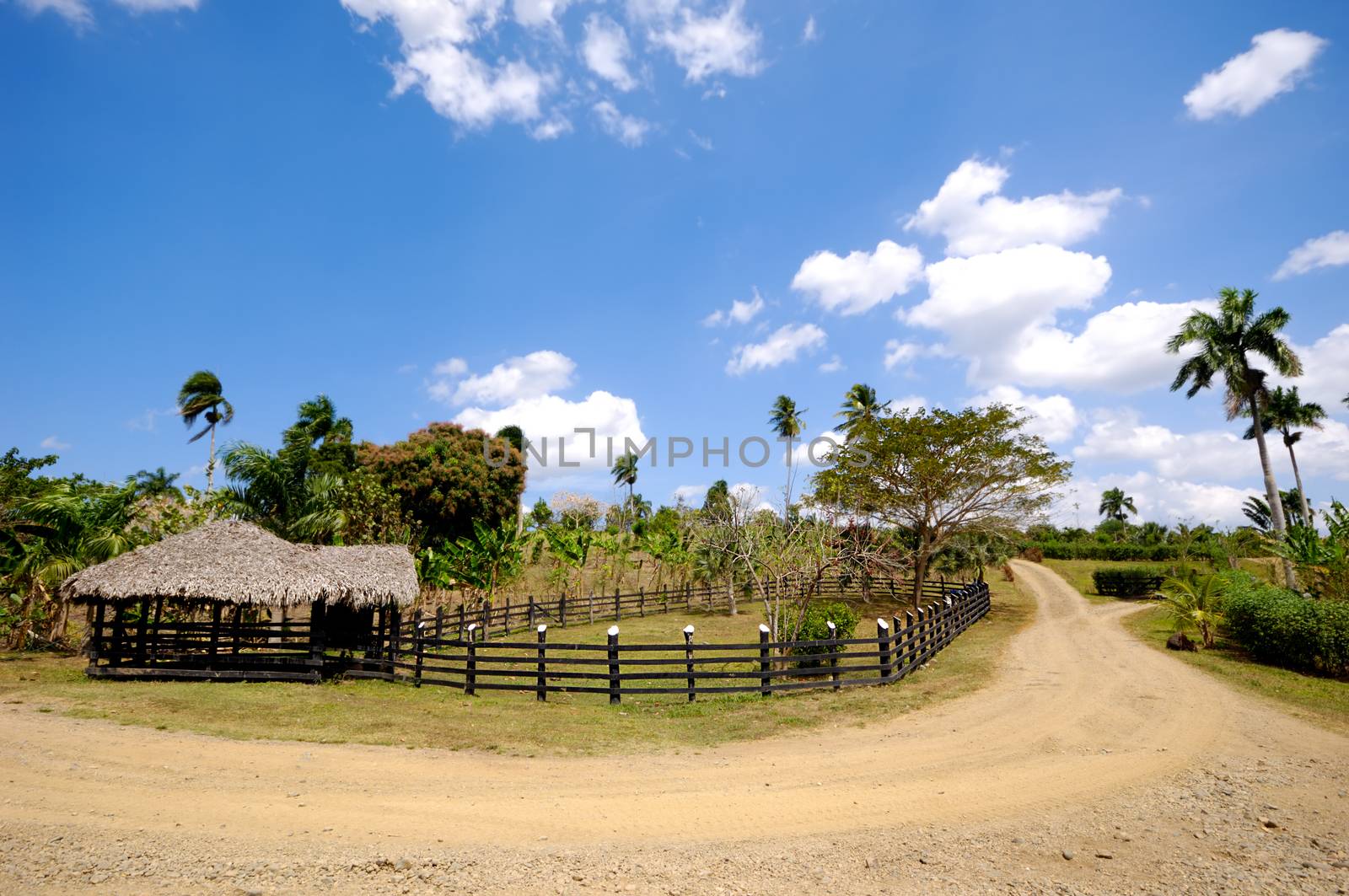 Farm by cfoto