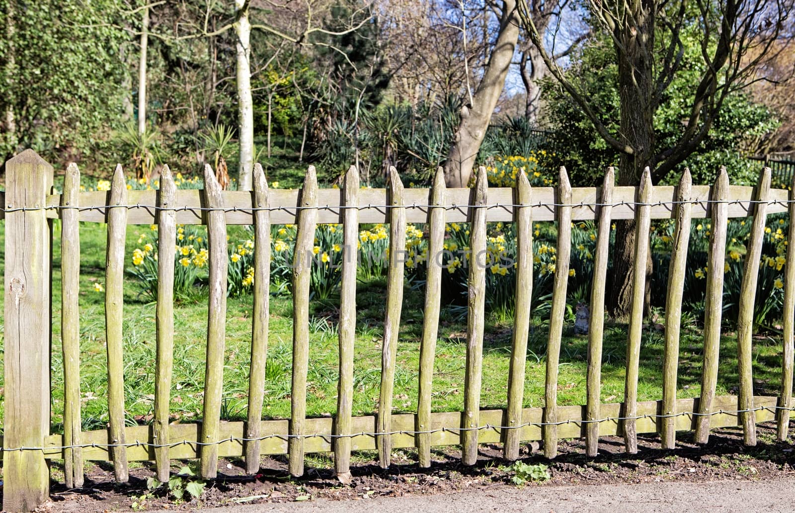 Old fence with wooden pickets in the park