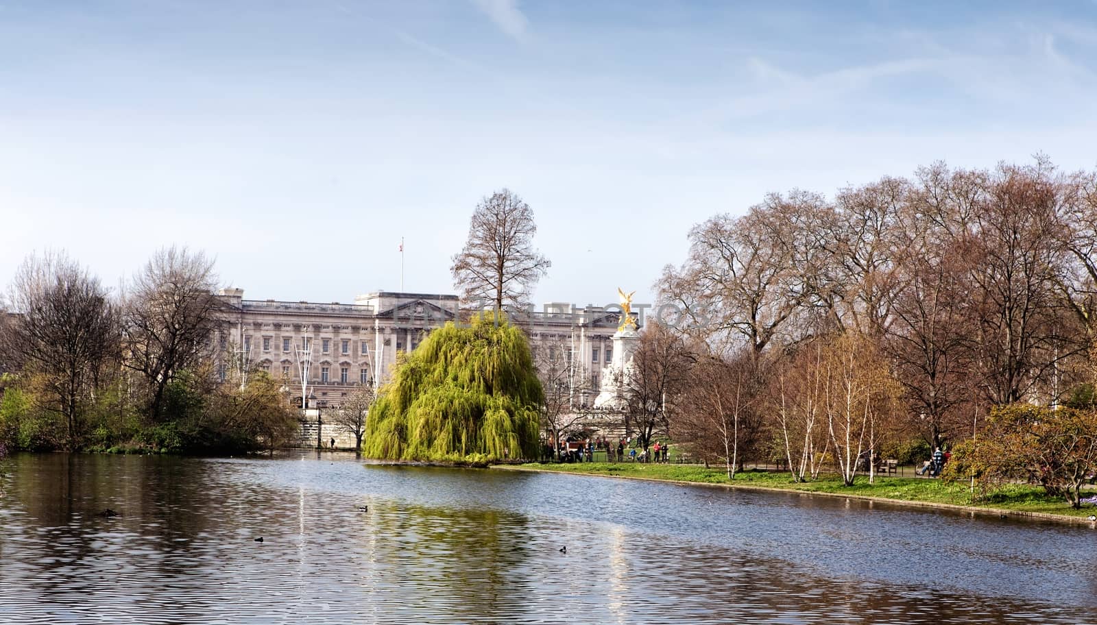 View of Buckingham Palace from St James park in London