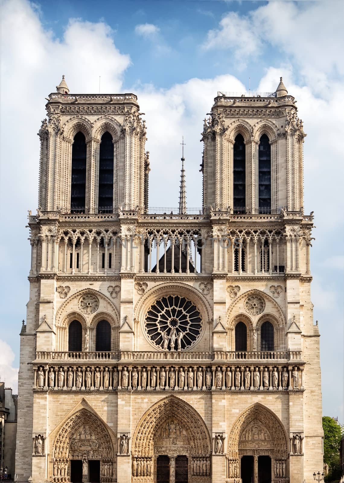 Cathedral Notre Dame in Paris by mitakag
