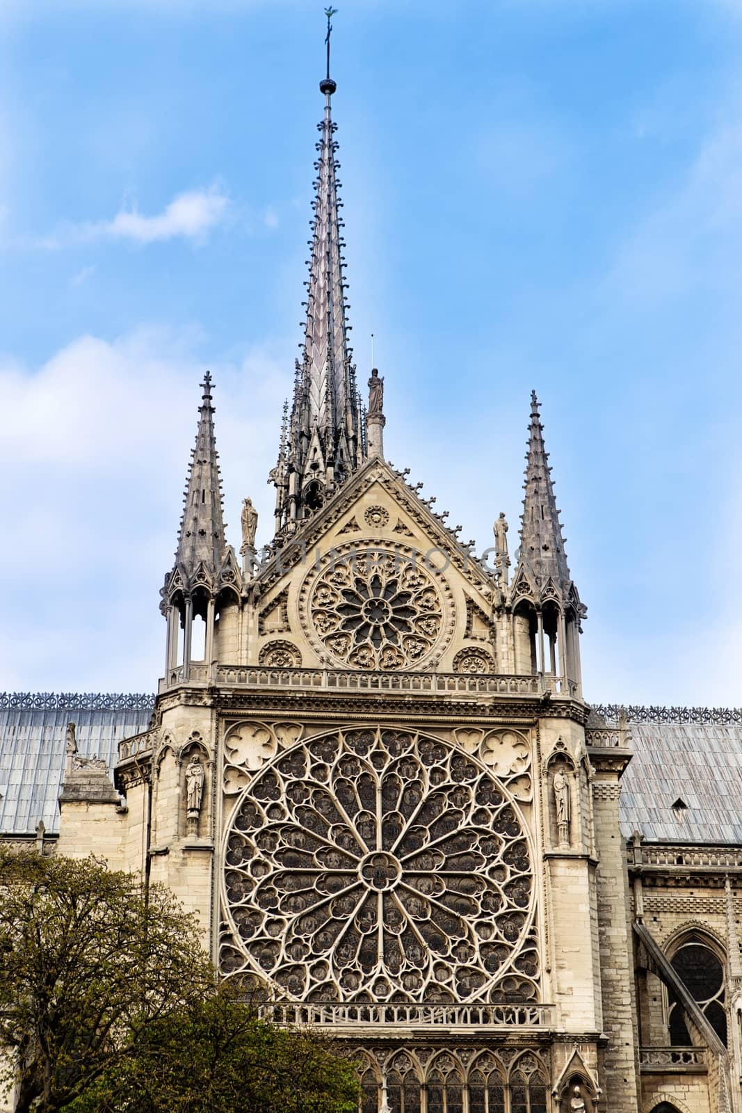Rosettes from Notre Dame Cathedrale by mitakag