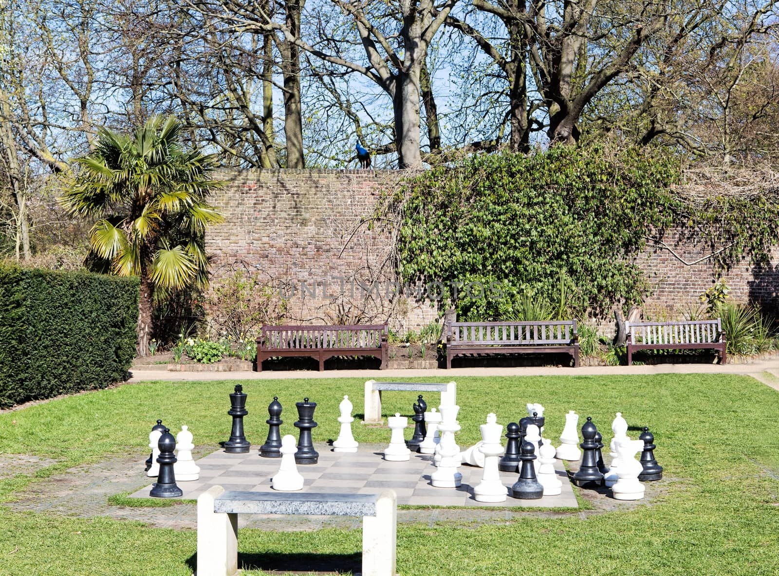 Large chess in the park in spring