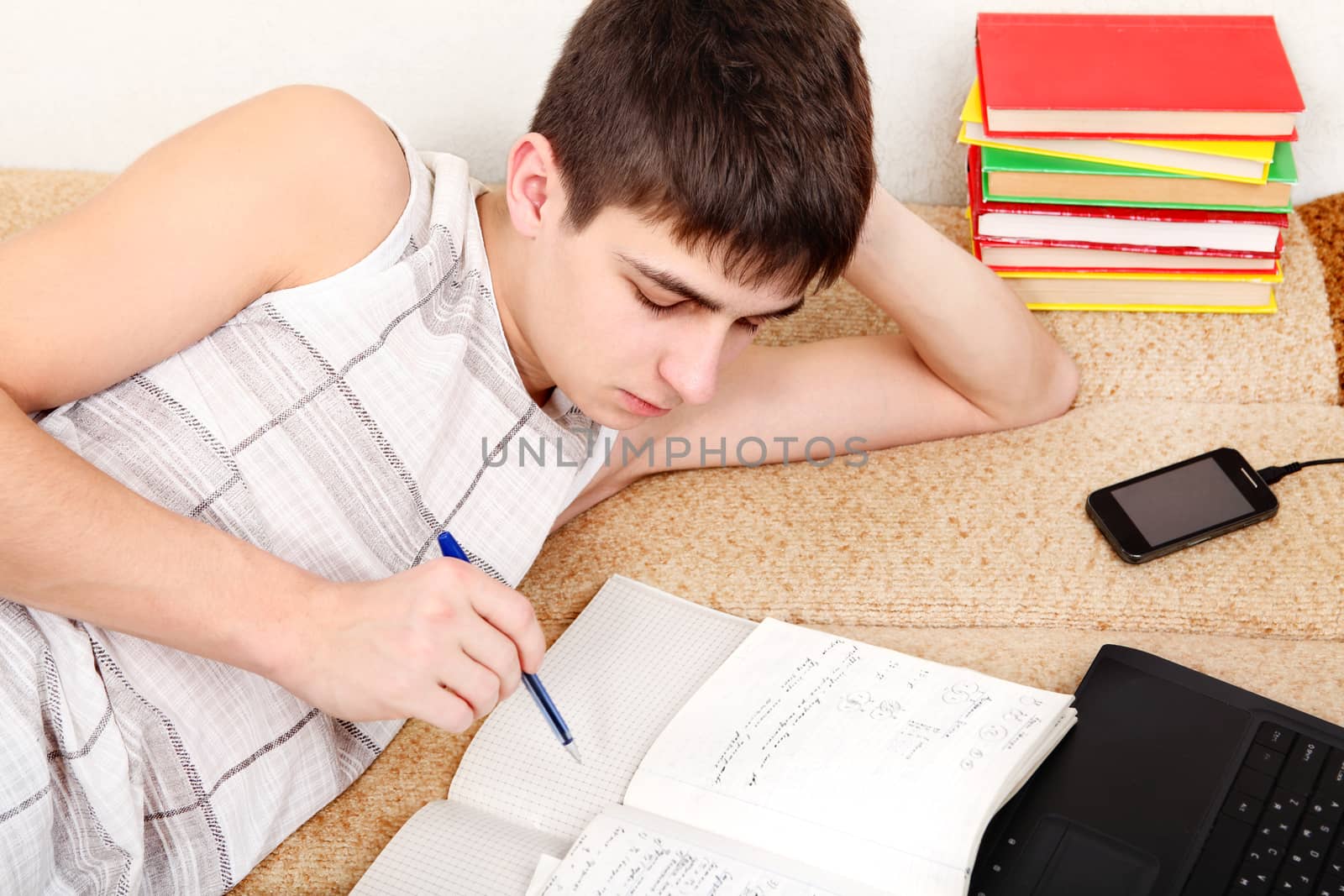 Teenager doing Homework on the Sofa at the Home