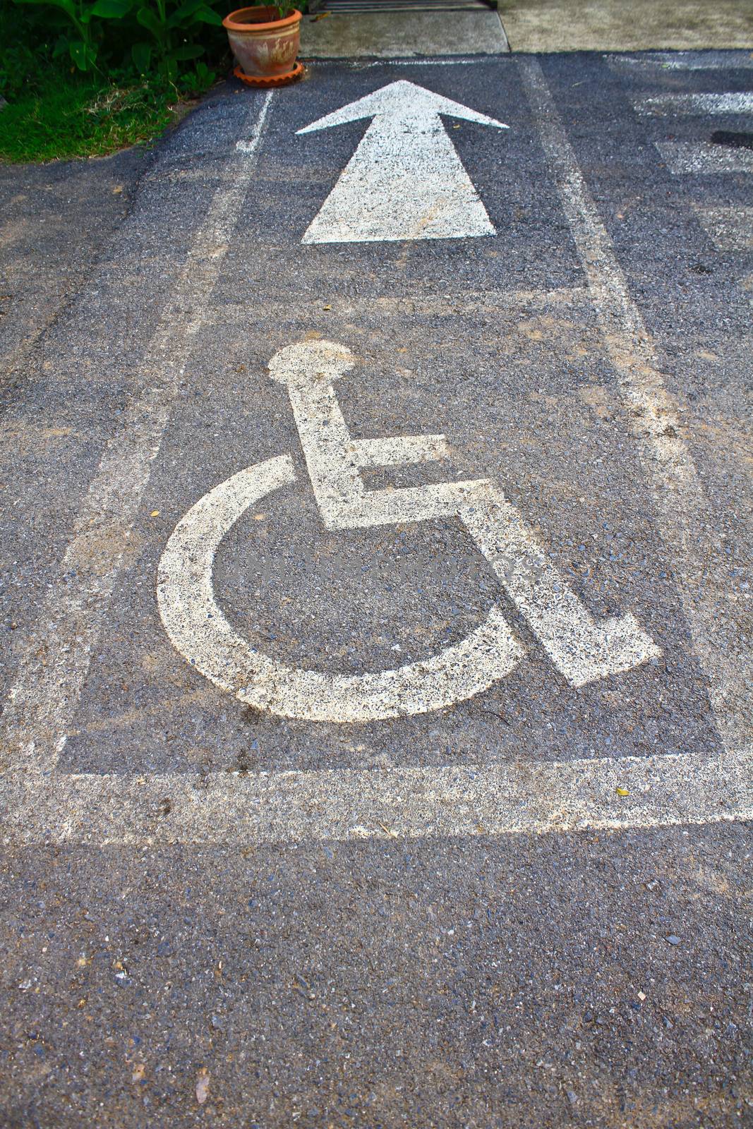 More Handicapped street in park