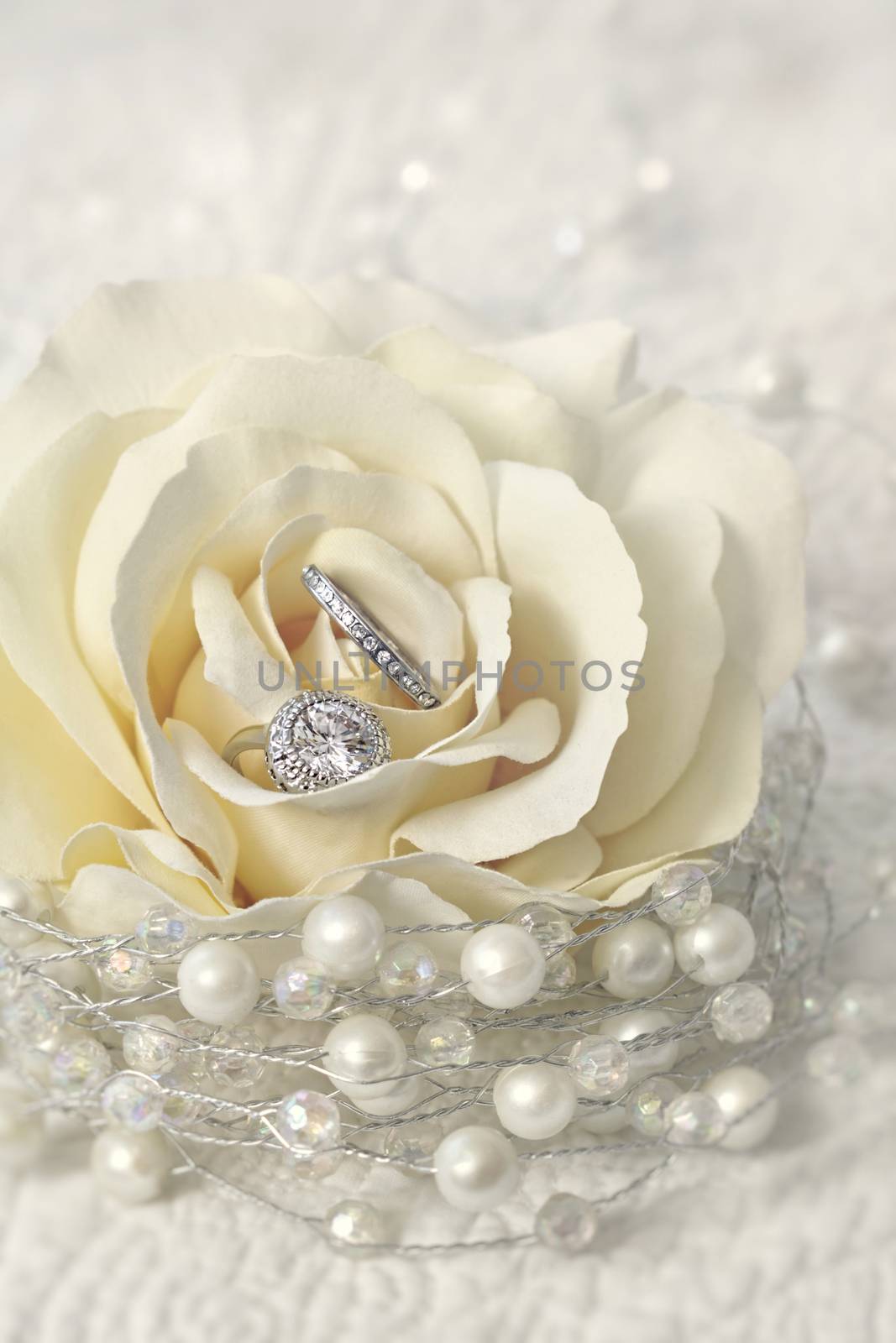 Wedding rings in rose flower by Sandralise