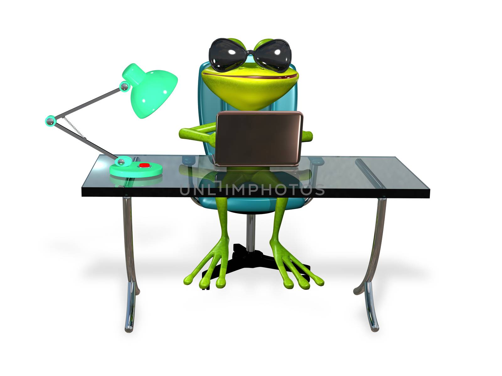 Frog at the table by brux