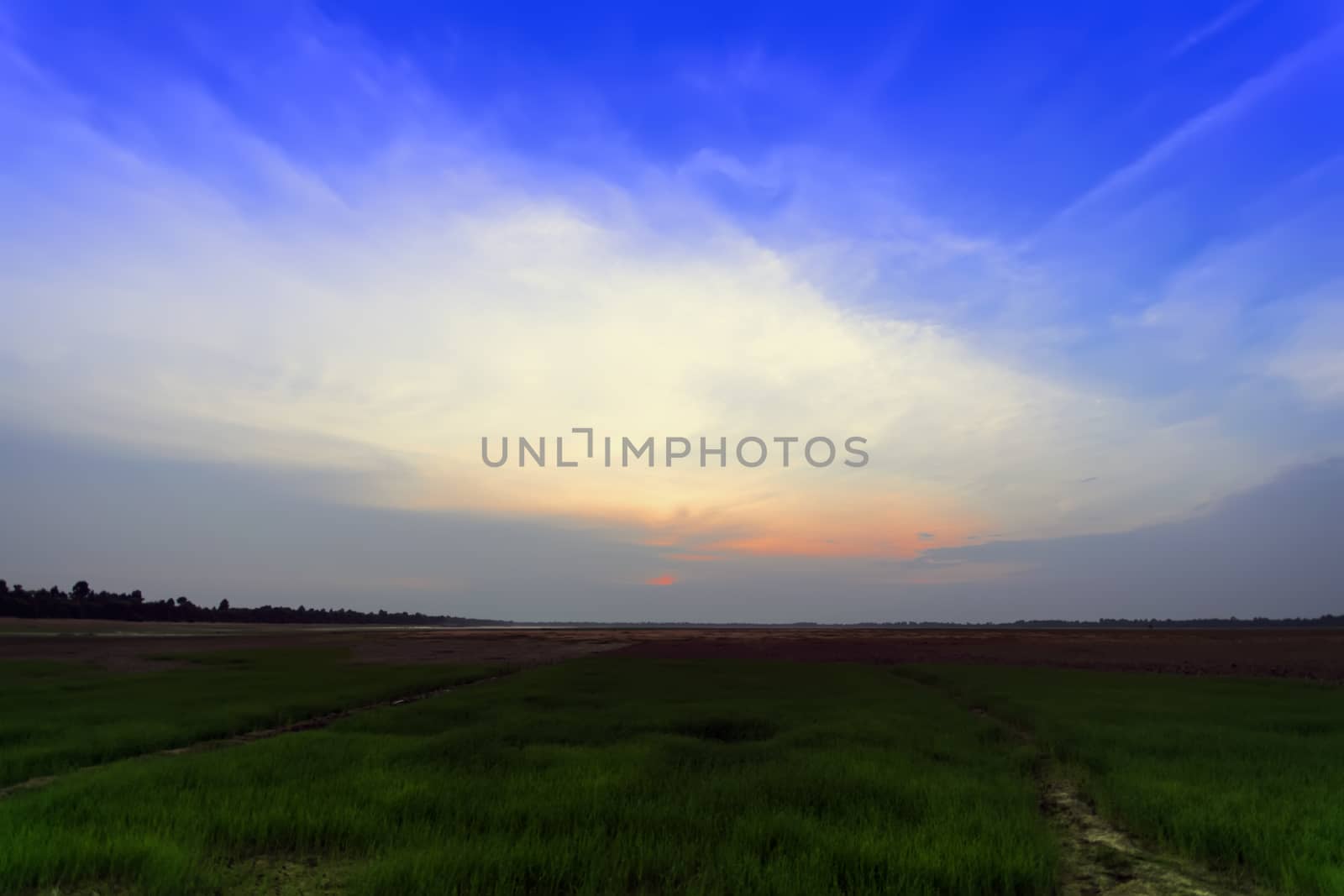 Western Baray near Western Mebon at Sunset. Cambodia.