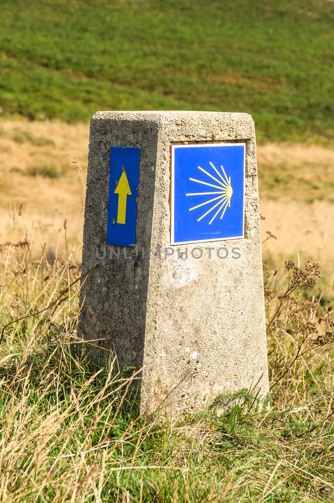 Camino de Santiago sign