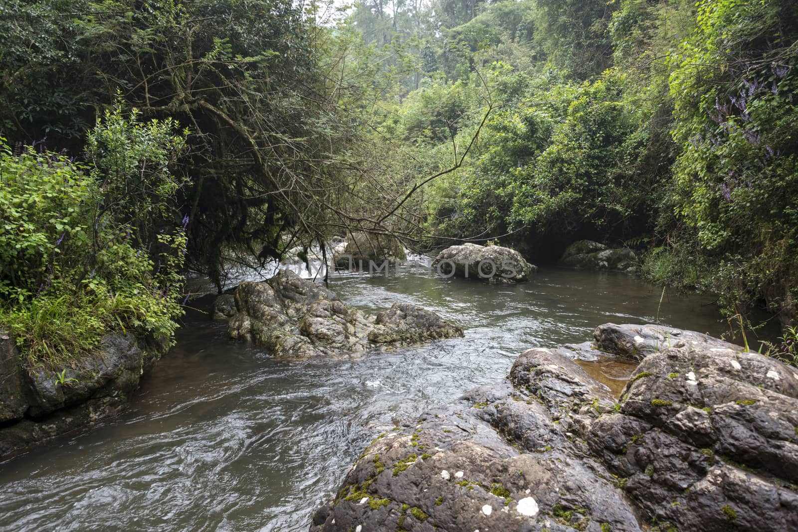 big rocks in  river from the waterfall near Sabie south Africa in hazyview area