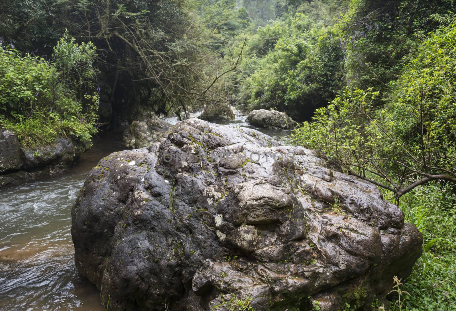 big rock in  river from the waterfall near Sabie south Africa in hazyview area