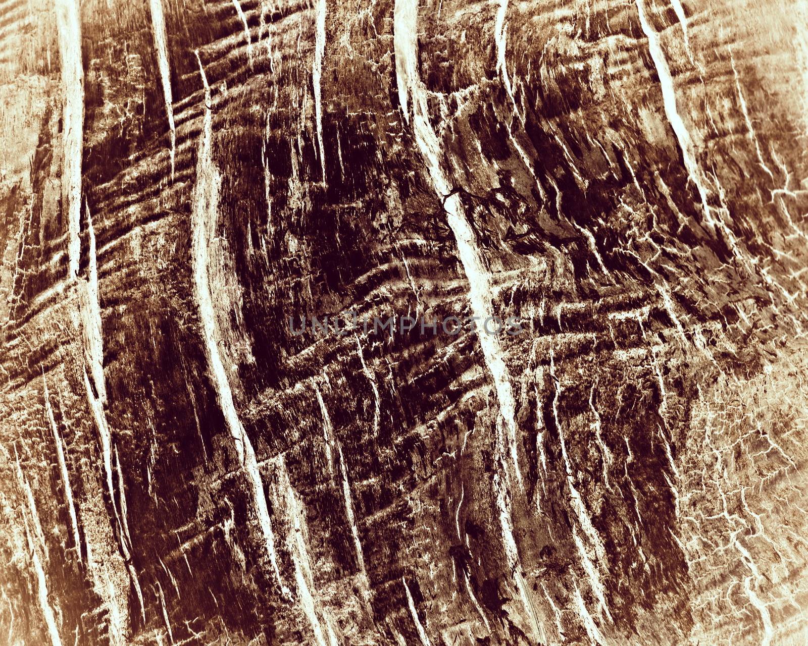 background or texture brown old wood pattern