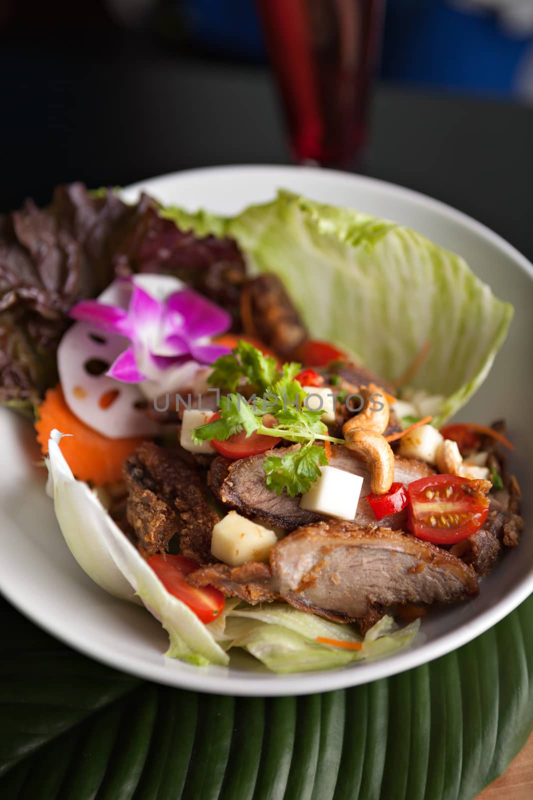 Thai Salad with Crispy Duck by graficallyminded