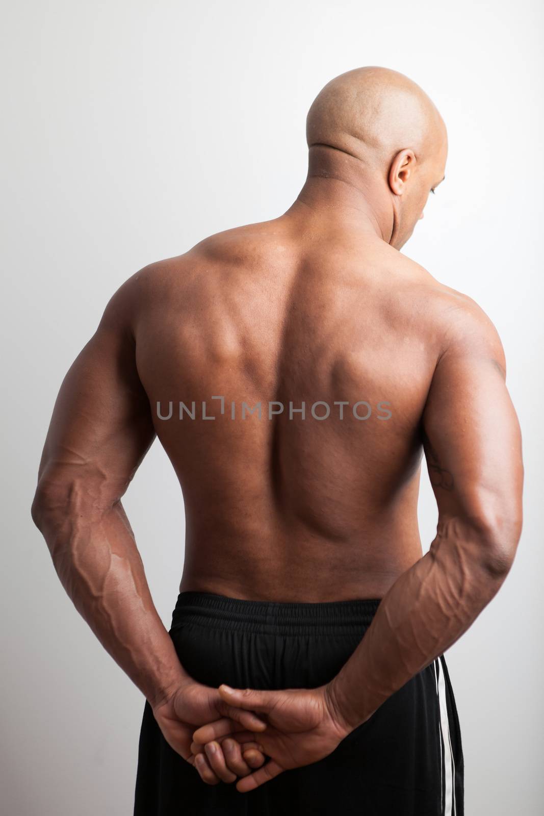 Portrait of a muscle fitness mans back and shoulders.
