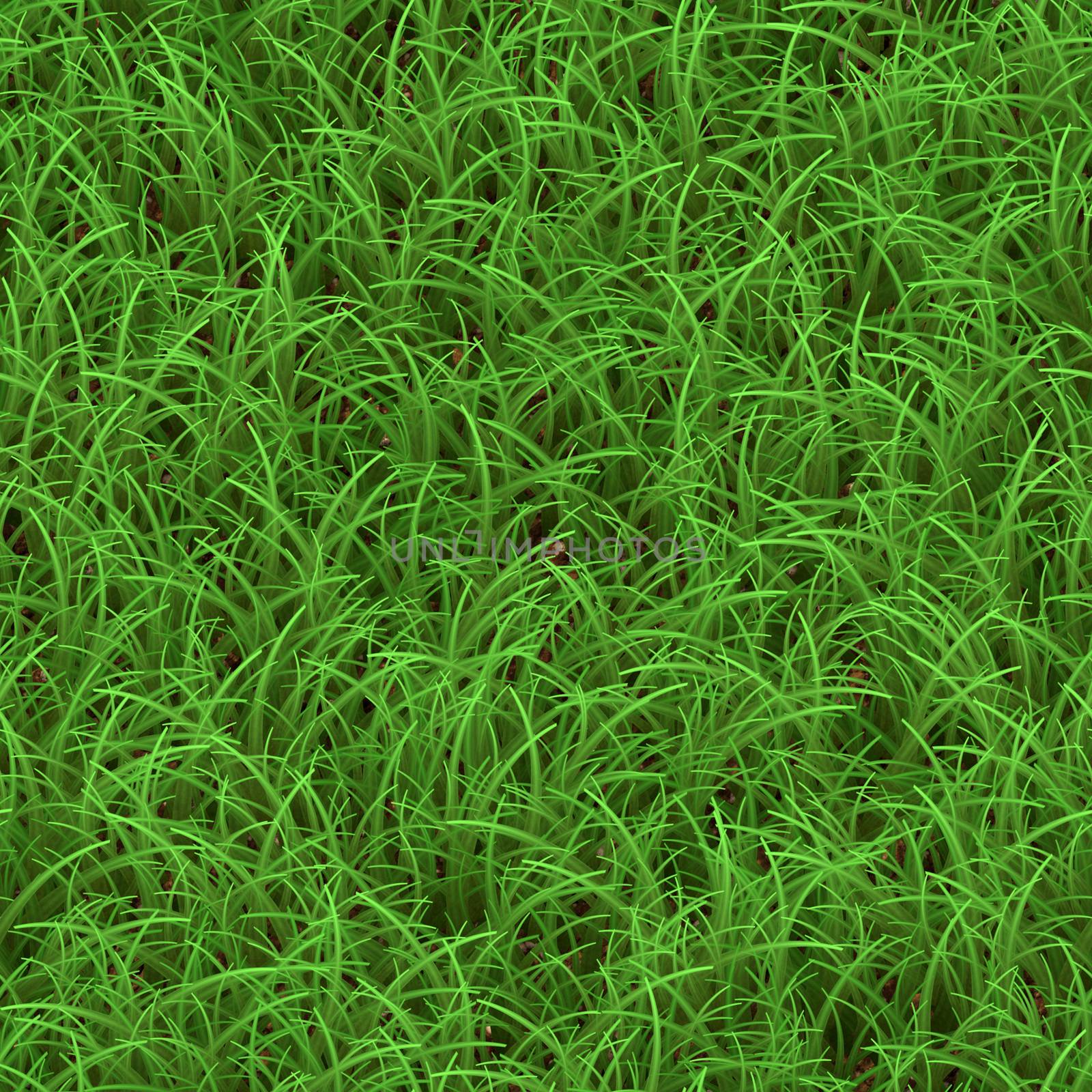 Green grass texture that tiles seamlessly as a pattern.