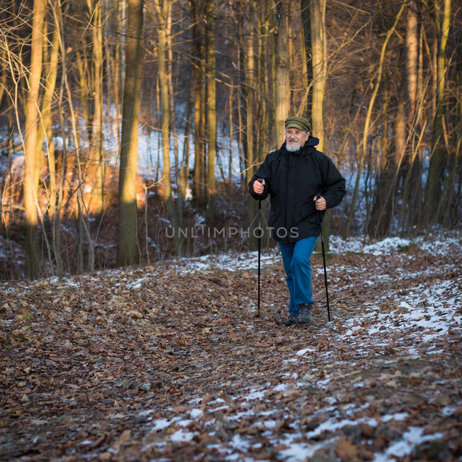 Senior man nordic walking, enjoying the outdoors by viktor_cap