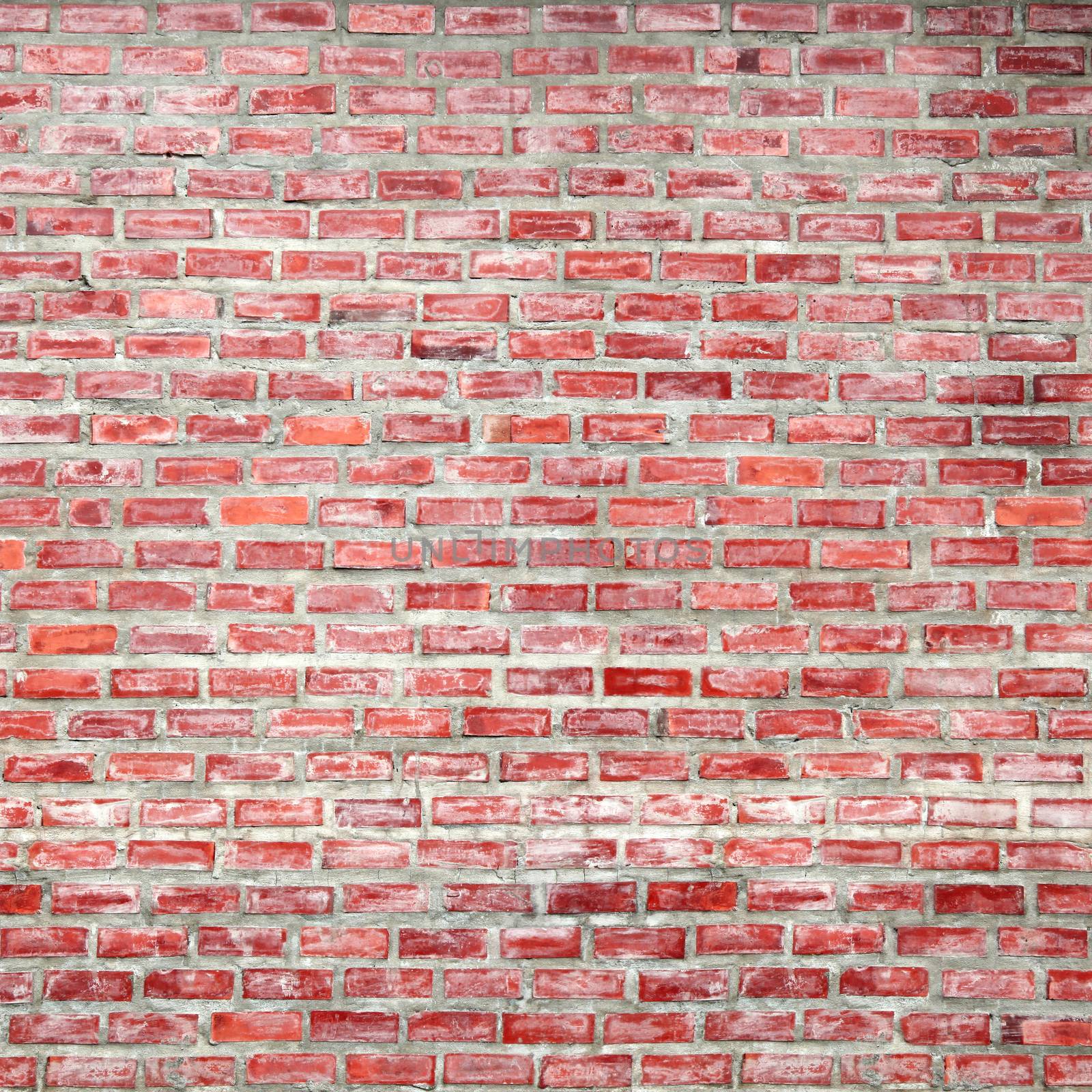 Brick Wall by antpkr