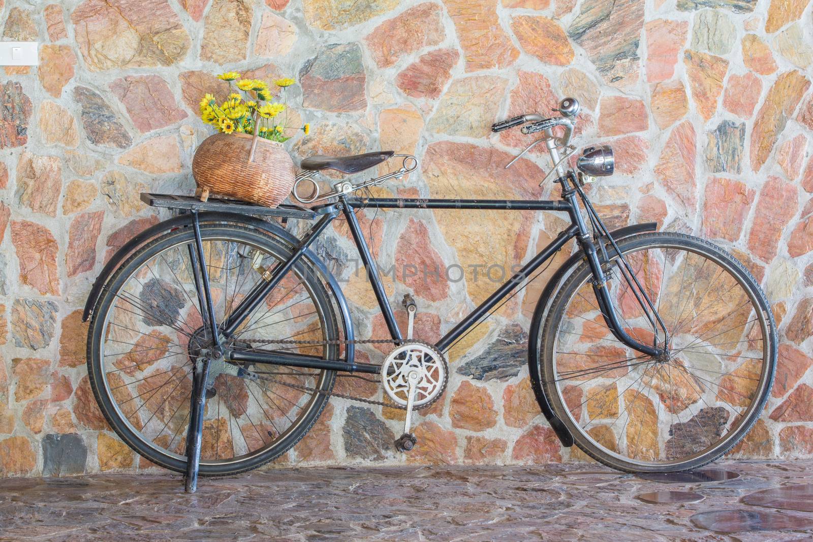 Antique bicycle  by tuchkay