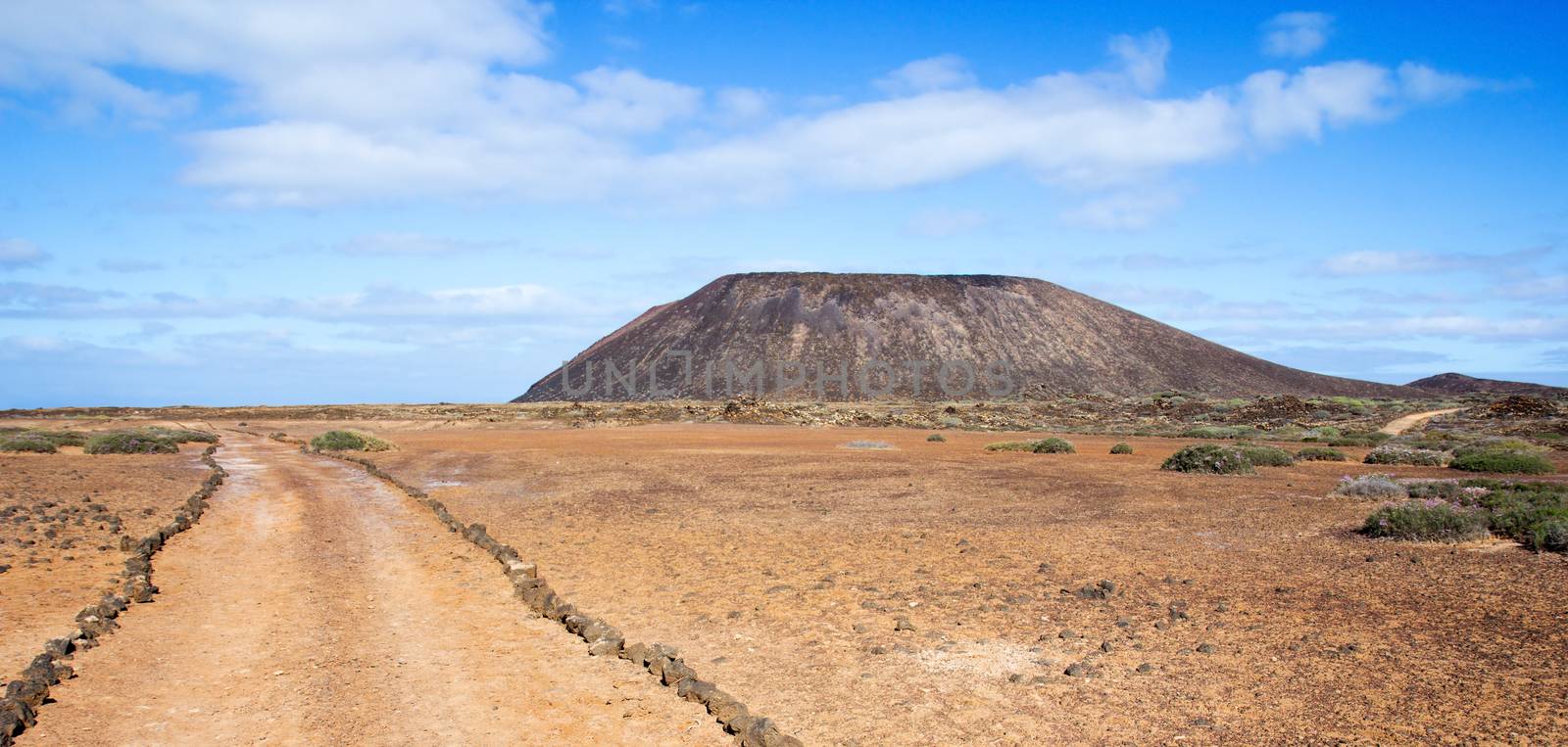 Trail and volcano on Los Lobos in the Canary Islands by Brigida_Soriano